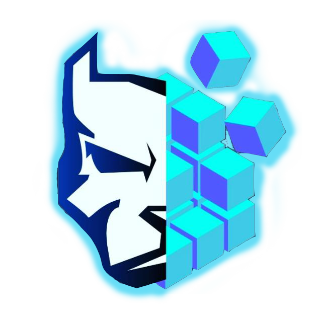 EXTERNAL VIP VALORANT